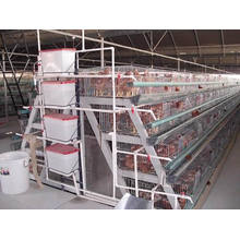 Poultry Farm Equipment a Frame Broiler Chicken Cage/Poultry Cage/Chicken Equipment